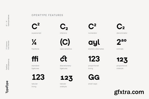 TT Commons Font Family