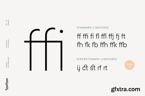 TT Commons Font Family