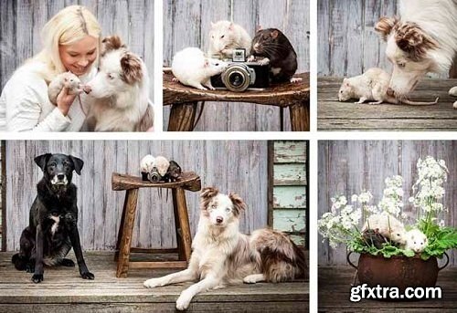 CreatievLIVE - Pets and People Photography by Vicki Taufer