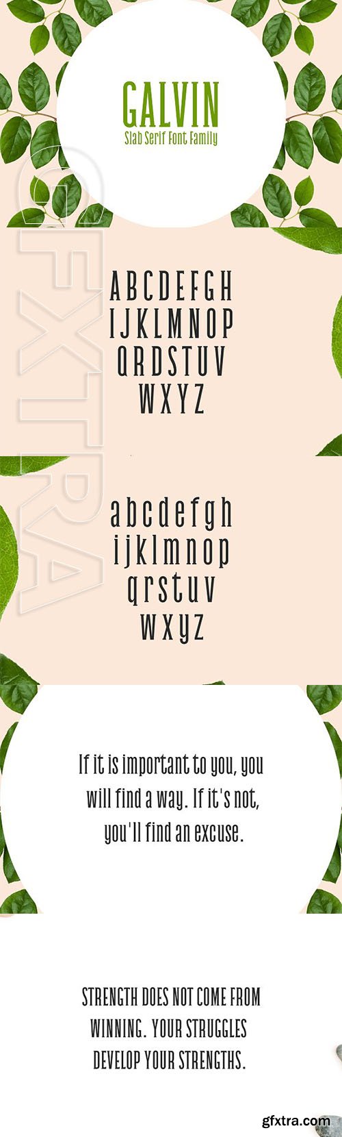 CreativeMarket - Galvin Slab Serif 5 Font Family Pack 2312303