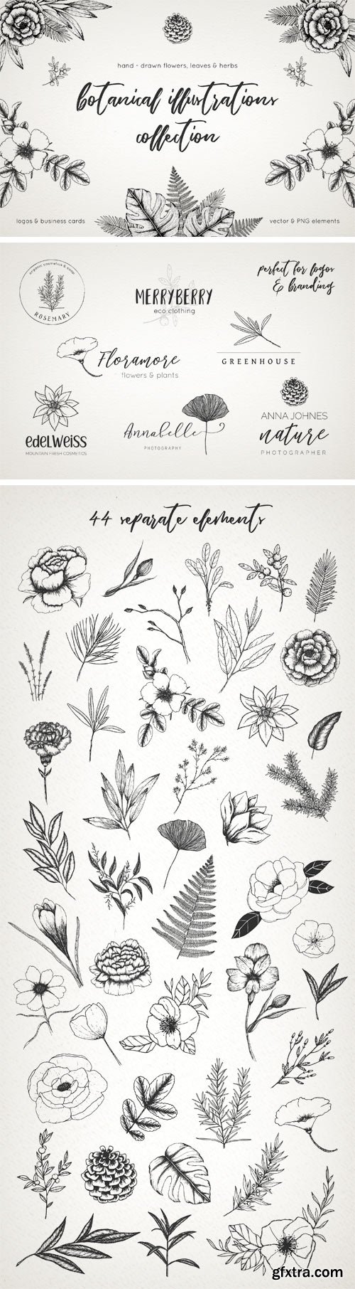 CM - Botanical Illustrations Pack 2295310