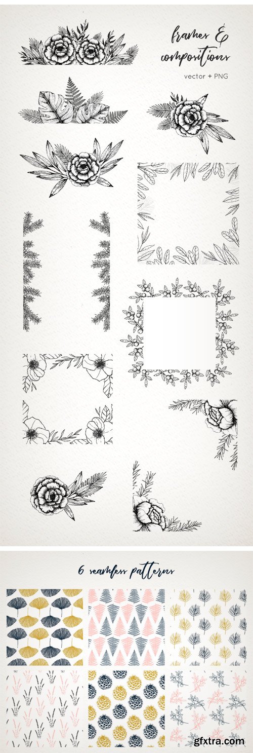 CM - Botanical Illustrations Pack 2295310