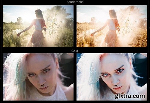 Dmitry Rogozhkin - Presets for Movies Lightroom Presets