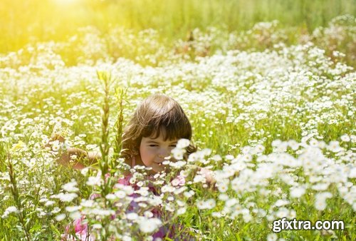 Flower meadow wild flower meadow field sprout landscape 25 HQ Jpeg