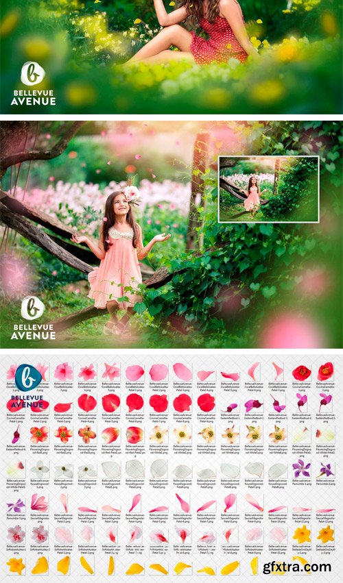 CM - Flower Petal Overlays (Real) 2295773