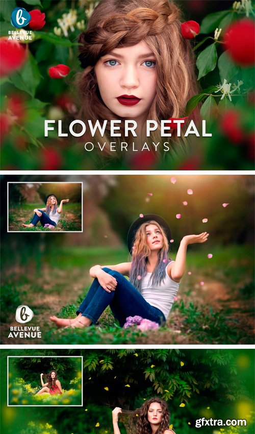 CM - Flower Petal Overlays (Real) 2295773