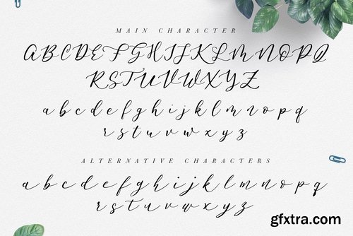 CM - Endita Font & Water Color Set 2339507