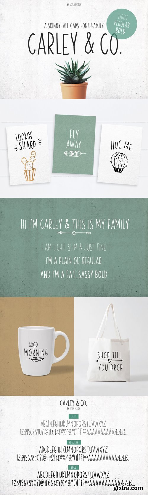 CM - Skinny Font family Carley & Co. 1540972