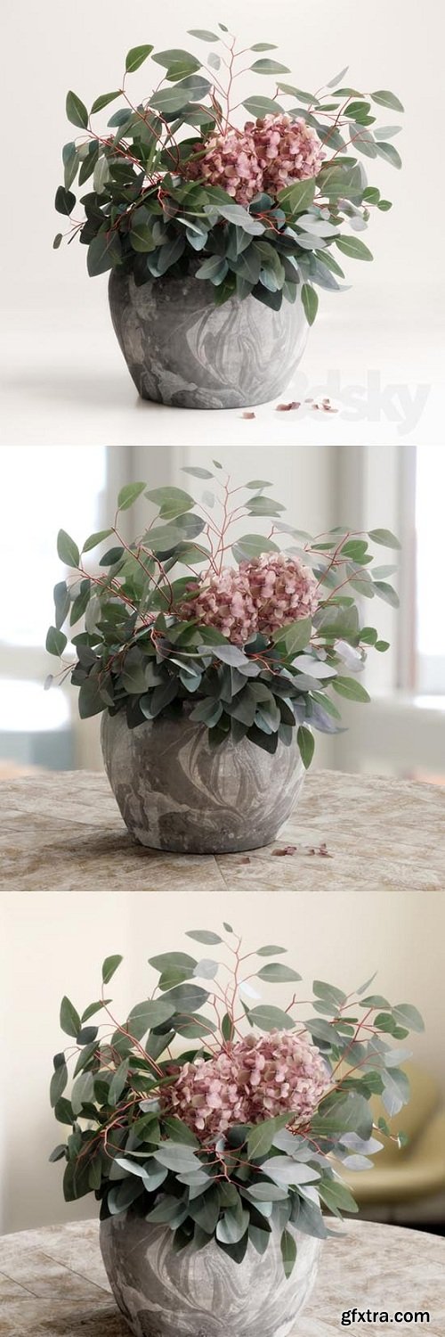 Bouquet of Eucalyptus with Hydrangea