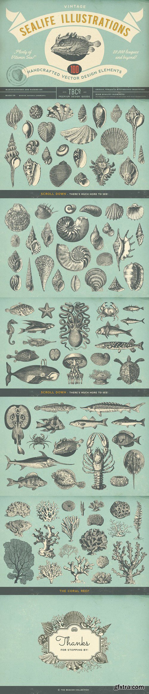 CM - 100 Vintage Sealife Illustrations 1620960