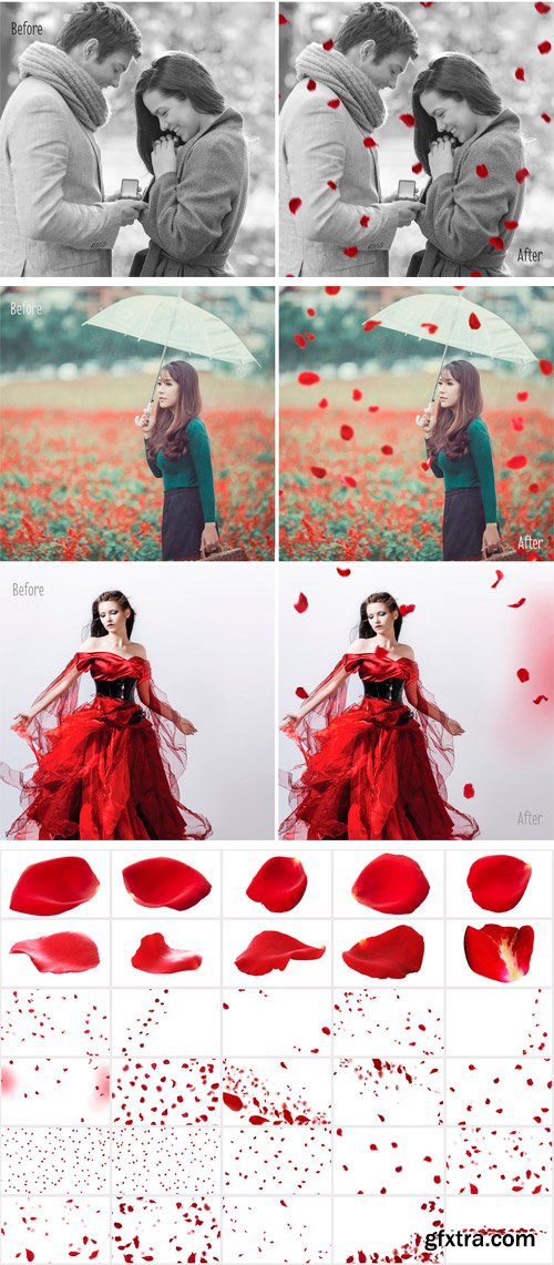 CM - 30 Falling Rose Petals Photo Overlay 2283778