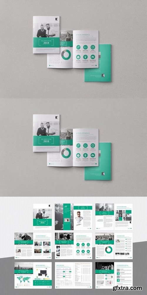 Multipurpose Business Brochure