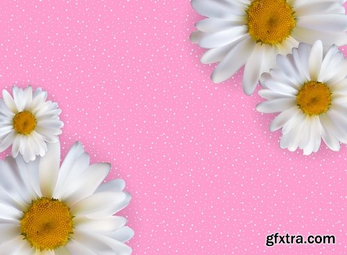 Daisy flower petal spring flyer banner frame background 25 EPS