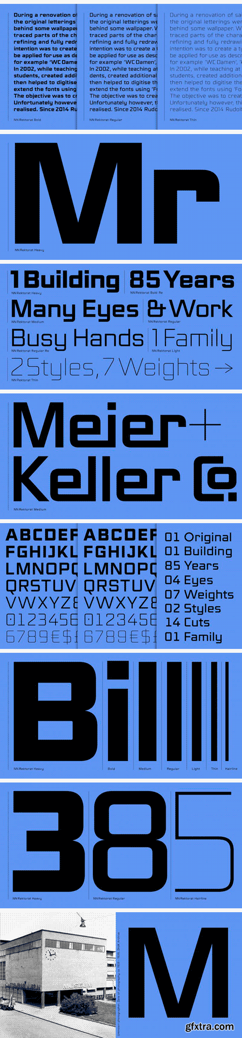 Rektorat Font Family