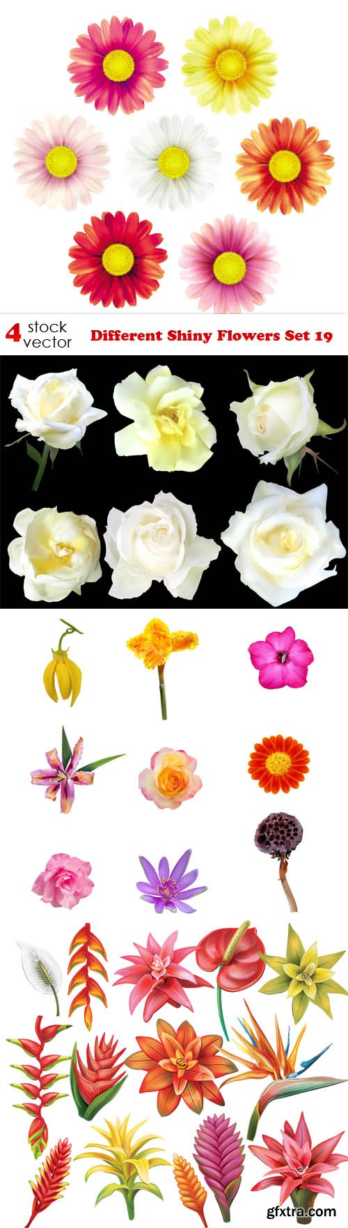 Vectors - Different Shiny Flowers Set 19