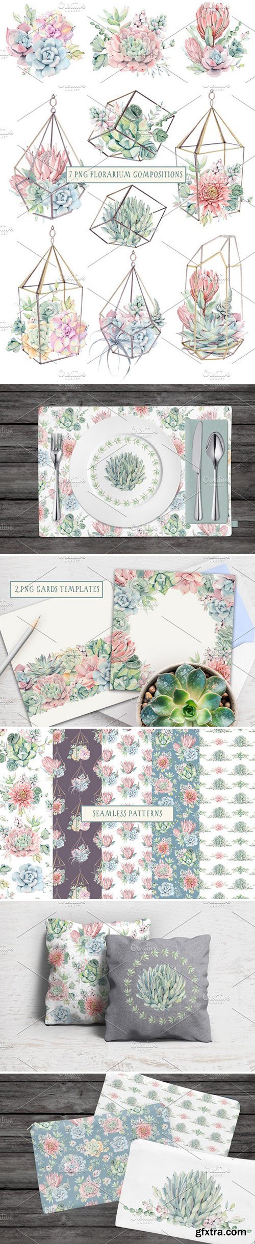 CM - AMAZING SUCCULENTS Watercolor set 1605773