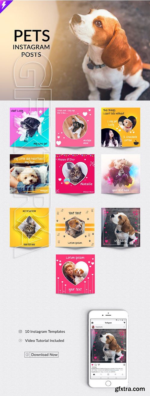 CreativeMarket - Pets Instagram Templates 2334423