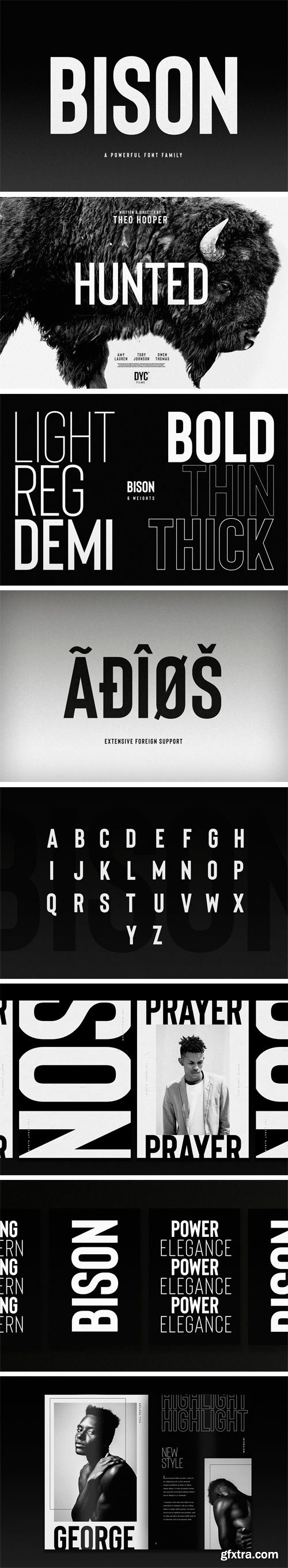 Bison Font Family