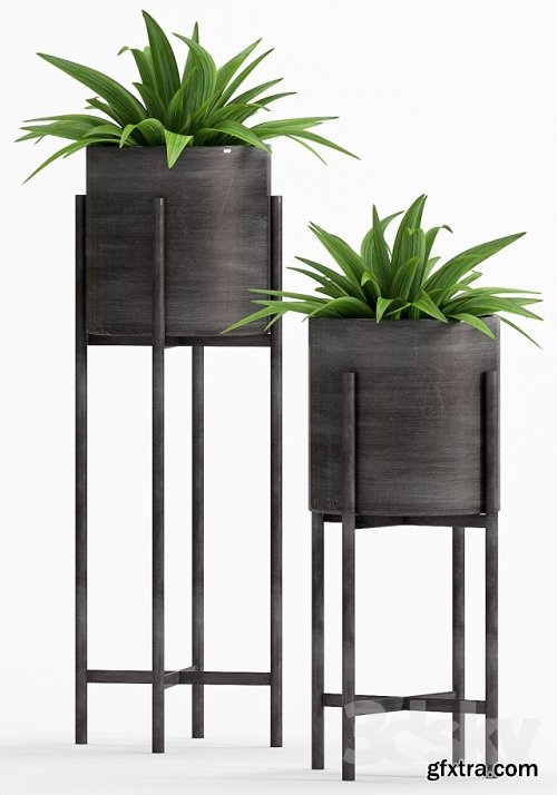 Decorative Plant Set 21 3d Models