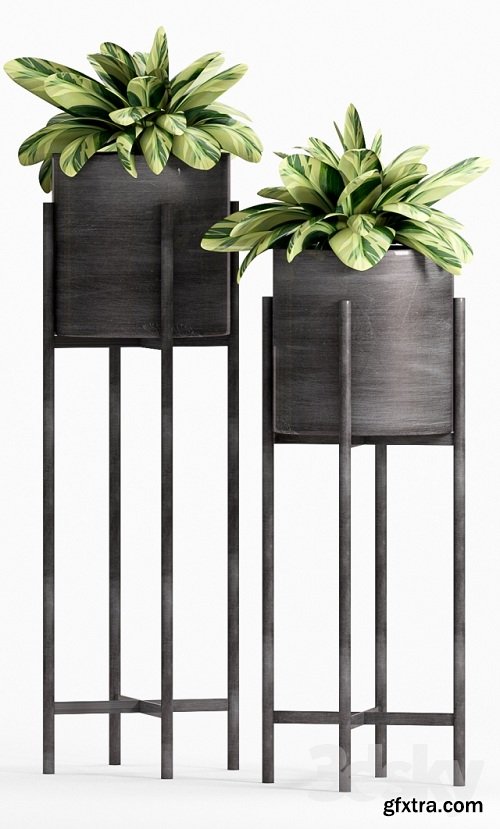 Decorative Plant Set 21 3d Models