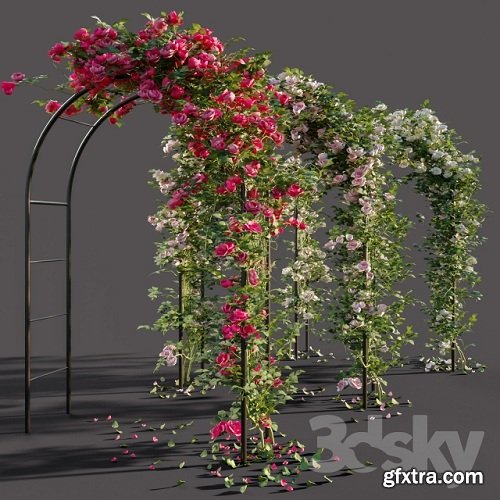 Arch with roses