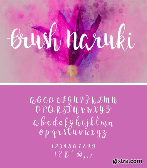 Brush Naruki Font