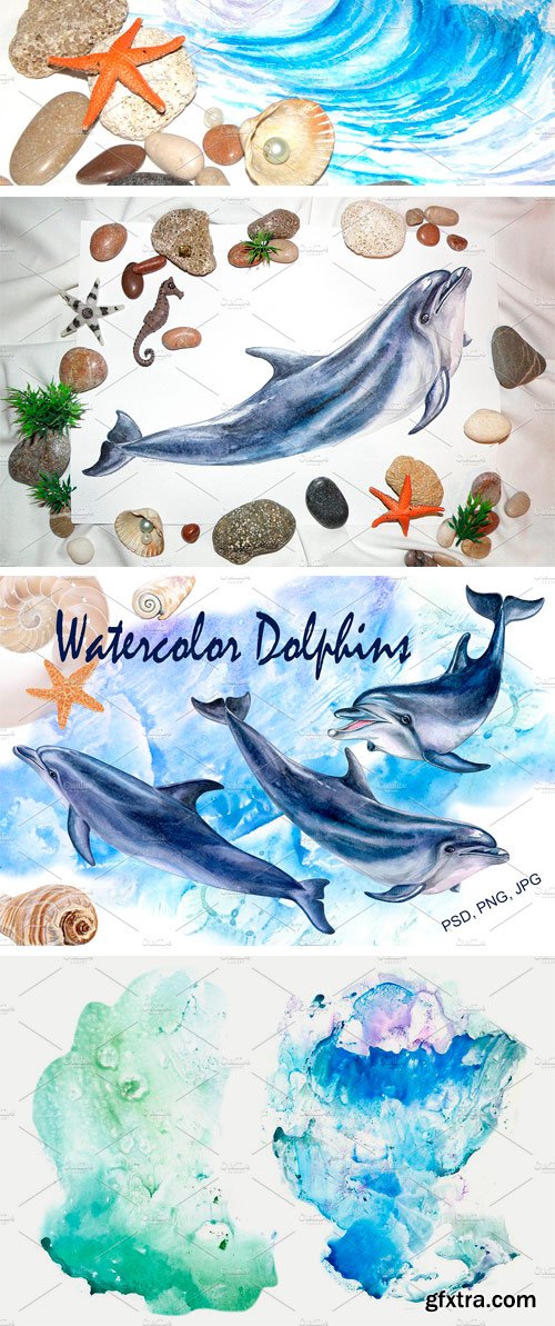 CM - Watercolor Dolphins 2316252