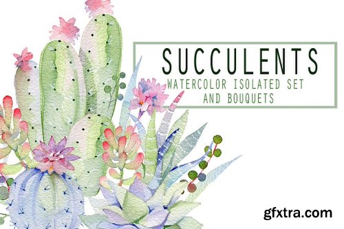 CreativeMarket Succulents Watercolor Set 2257648