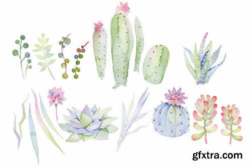 CreativeMarket Succulents Watercolor Set 2257648