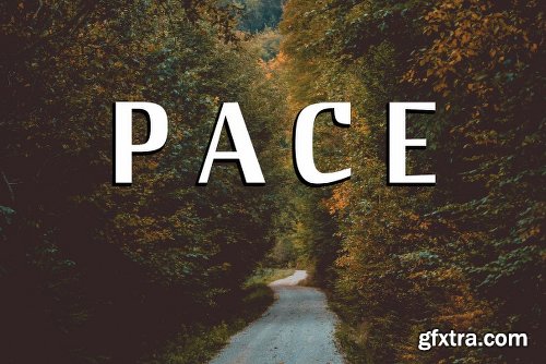 CreativeMarket Pace 2304093