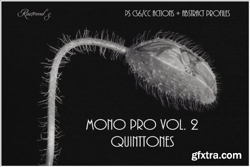 CreativeMarket Mono Pro Vol. 2 - Quinttones 2298734