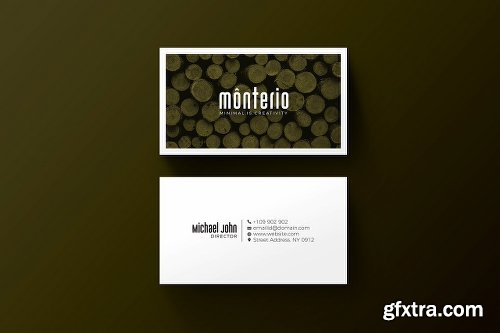 CreativeMarket Minimal Creative Business Card 2258219