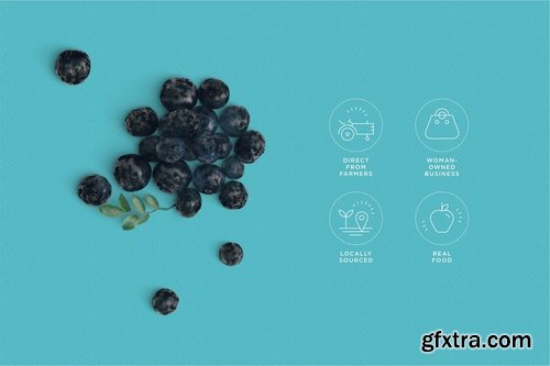 CM - Natural Food icons package 2325352