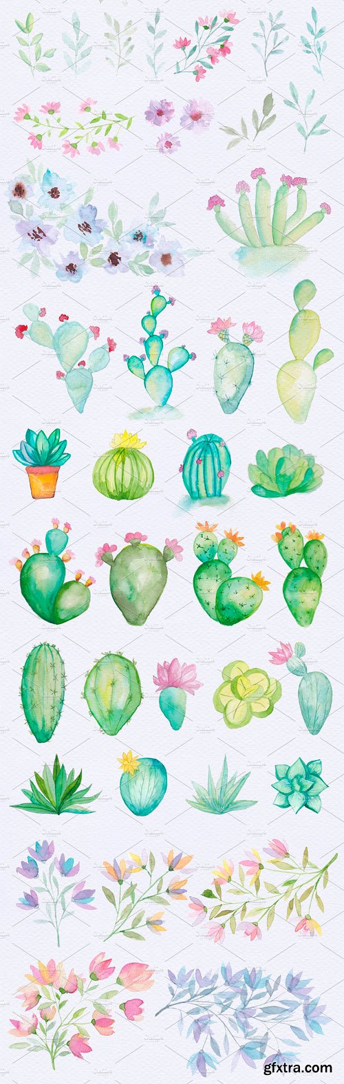 CM - Watercolor Cactus & Floral Bundle 1915253