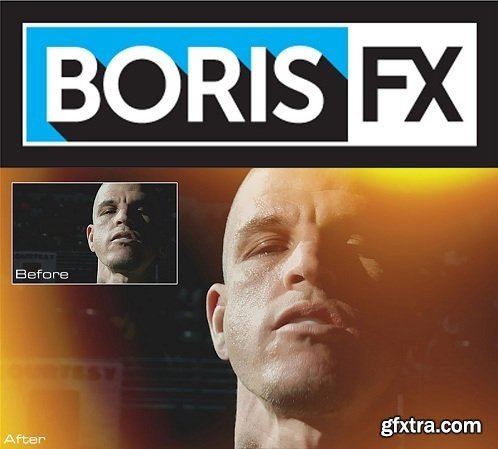 Boris Continuum Complete 10.0.2 for DaVinci Resolve and Sony Vegas