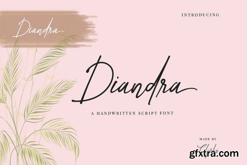 CreativeMarket Diandra Signature Font 2296431