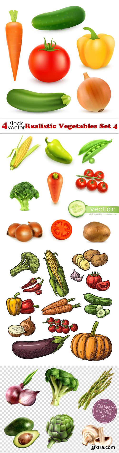 Vectors - Realistic Vegetables Set 4