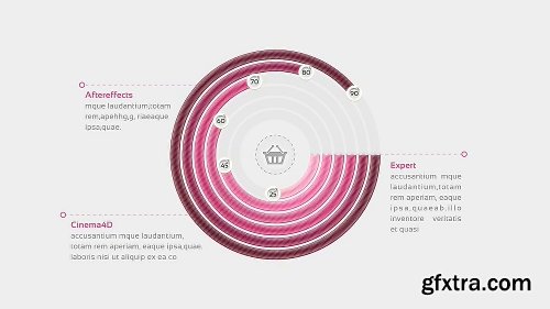 Videohive 10 Amazing Infographic Elements  Infographics 6172219