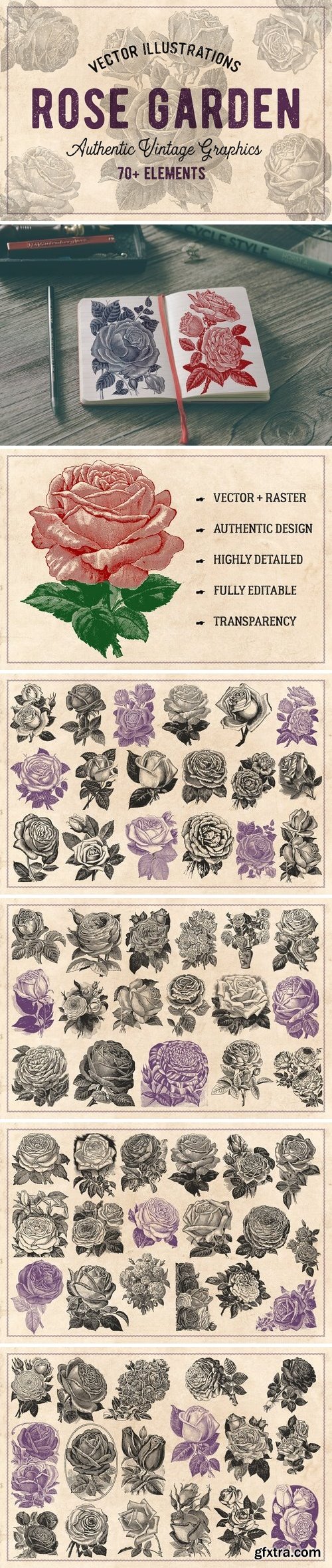 CM - 70 Vintage Rose Illustrations 1237189