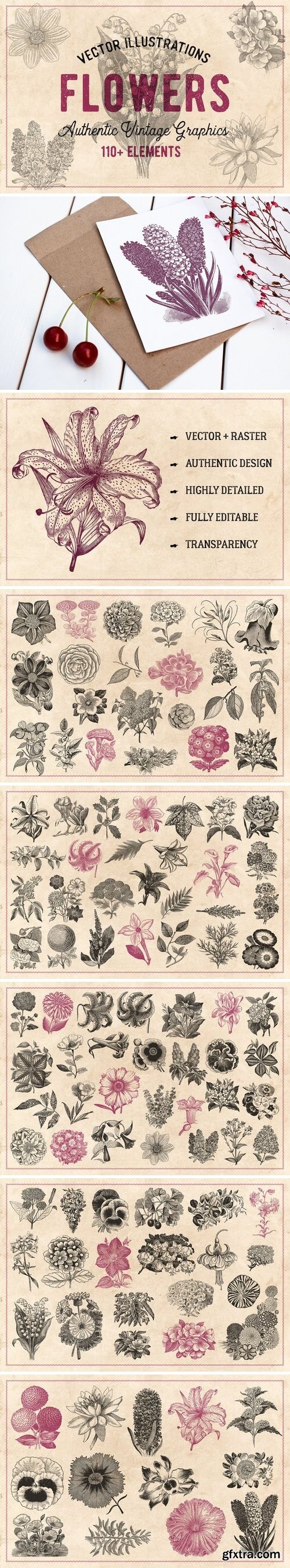 CM - 110 Vintage Flowers & Plants Vector 1441016