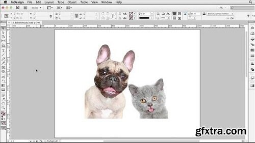 InDesign FX