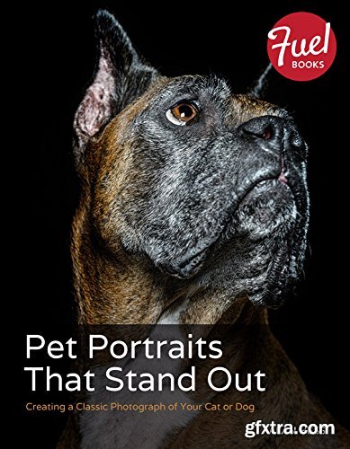 Pet Portraits That Stand Out: Creating a Classic Photograph of Your Cat or Dog (Fuel)