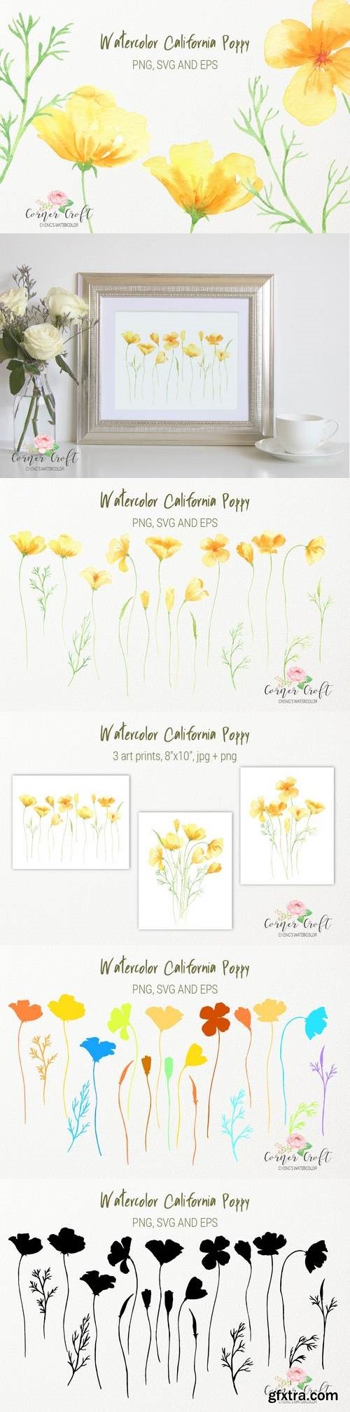 Watercolor California poppy, silhouette, png, svg