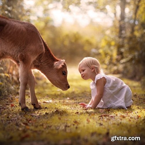 Elena Shumilova Photography - Video 1702