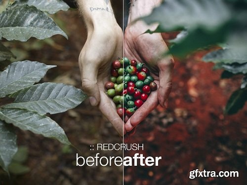 Peter McKinnon Lightroom Preset Pack