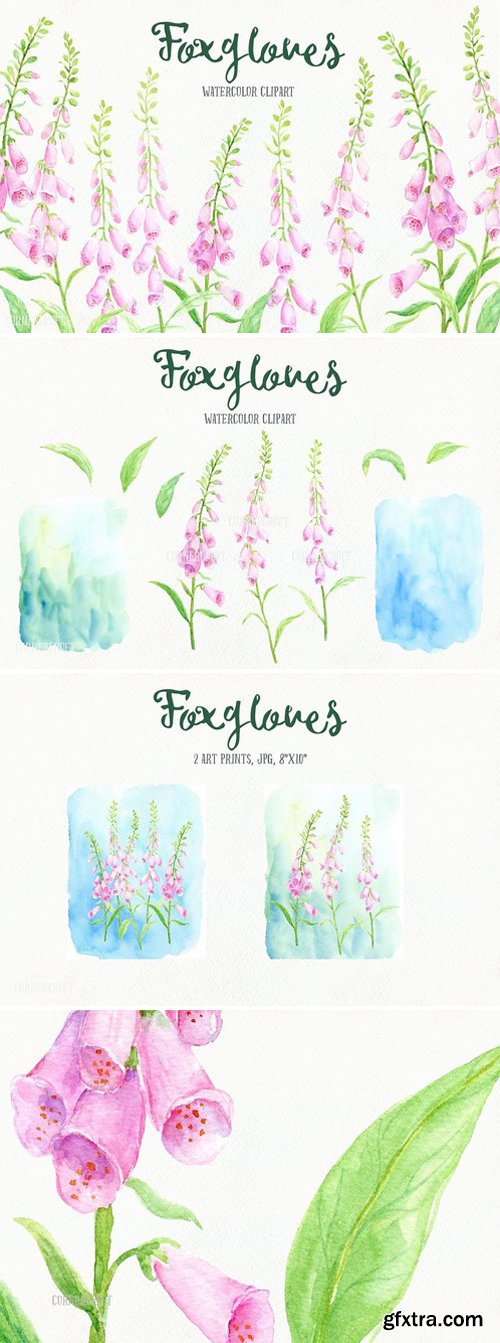 CM - Watercolor Pink Foxgloves Clip Art 1589992