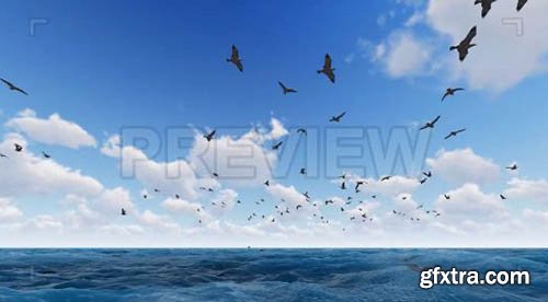 Bird Fly Over The Sea - Motion Graphics 70901