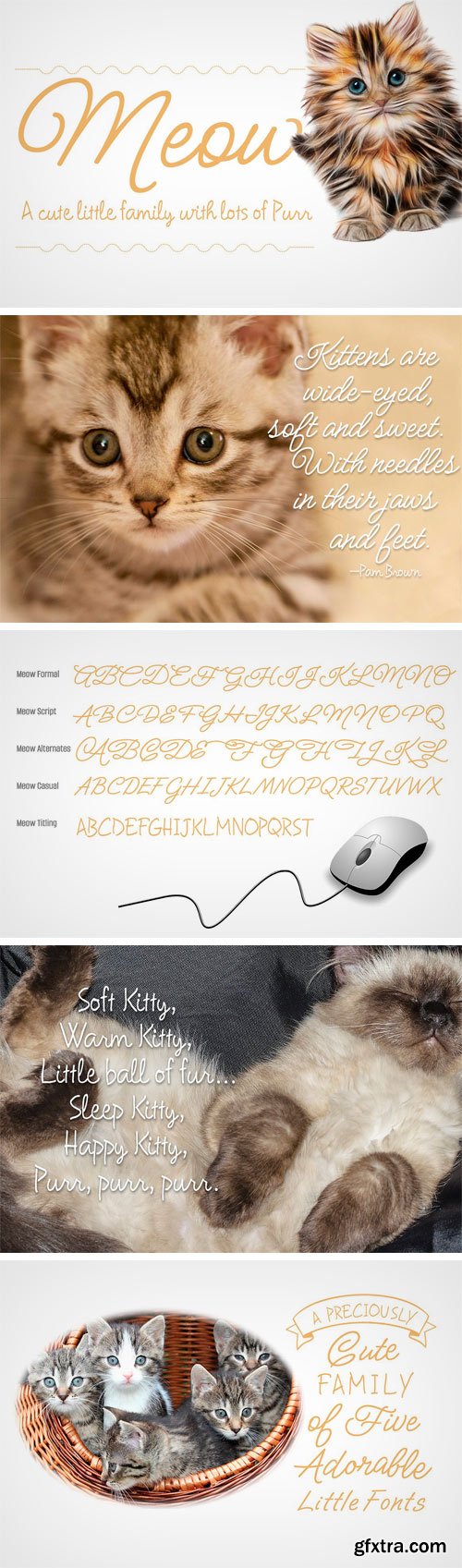 CM - Meow ROB Script Family 2316699