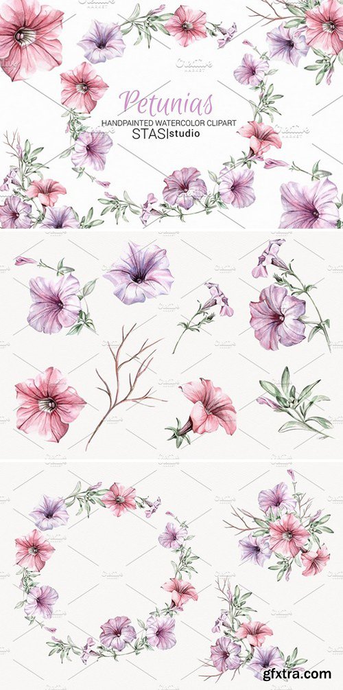 CM - Watercolor Clipart Petunias 1599594