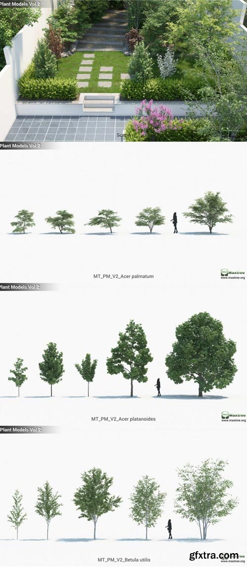 Maxtree - Plant Models Vol 2